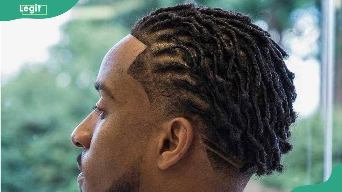 Sectioned dreadlocks with natural flow Sectioned dreadlocks with natural flow