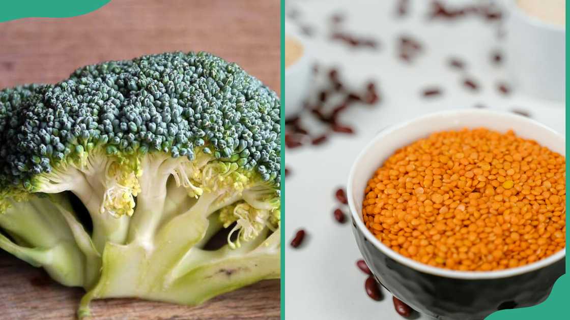 Broccoli and lentils on a bowl Broccoli and lentils on a bowl