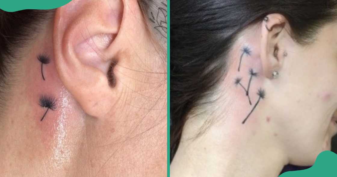 Fine line dandelion seed tattoos behind the ear. Fine line dandelion seed tattoos behind the ear.