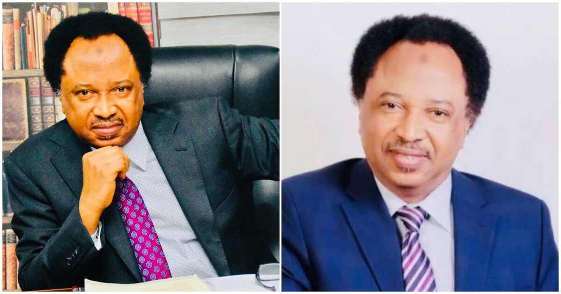 Shehu Sani says ECOWAS is the first group to endorse rigged election/ ECOWAS is first group to endorse rigged election