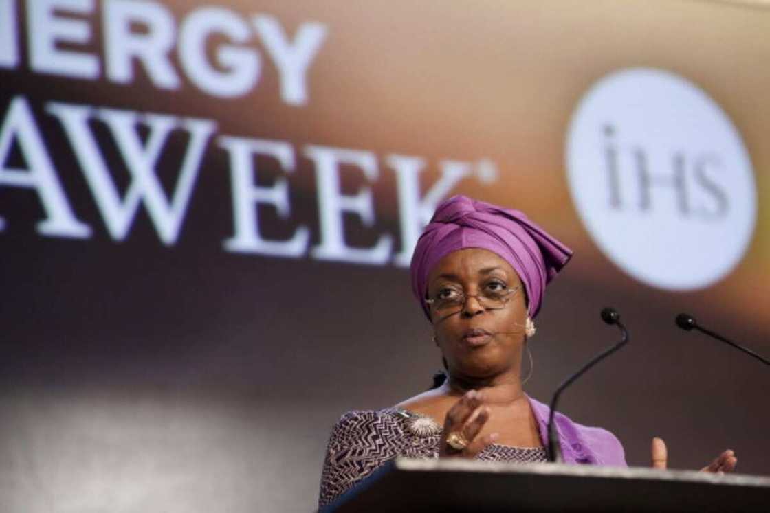 Diezani Madueke ga Gwamnati