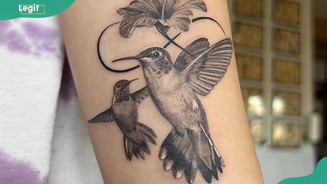 Infinity hummingbird tattoo