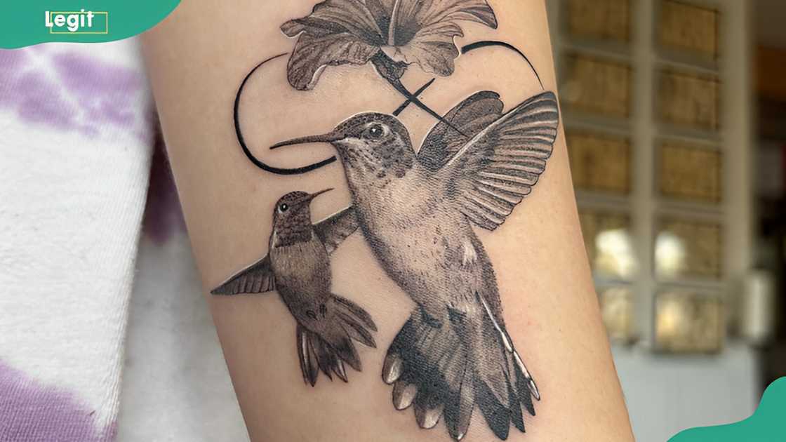 Infinity hummingbird tattoo Infinity hummingbird tattoo