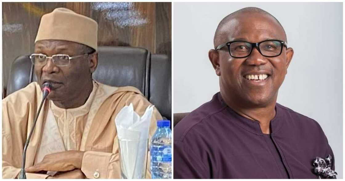 INEC/Peter Obi/Tribunal/Labour Party INEC/Peter Obi/Tribunal/Labour Party