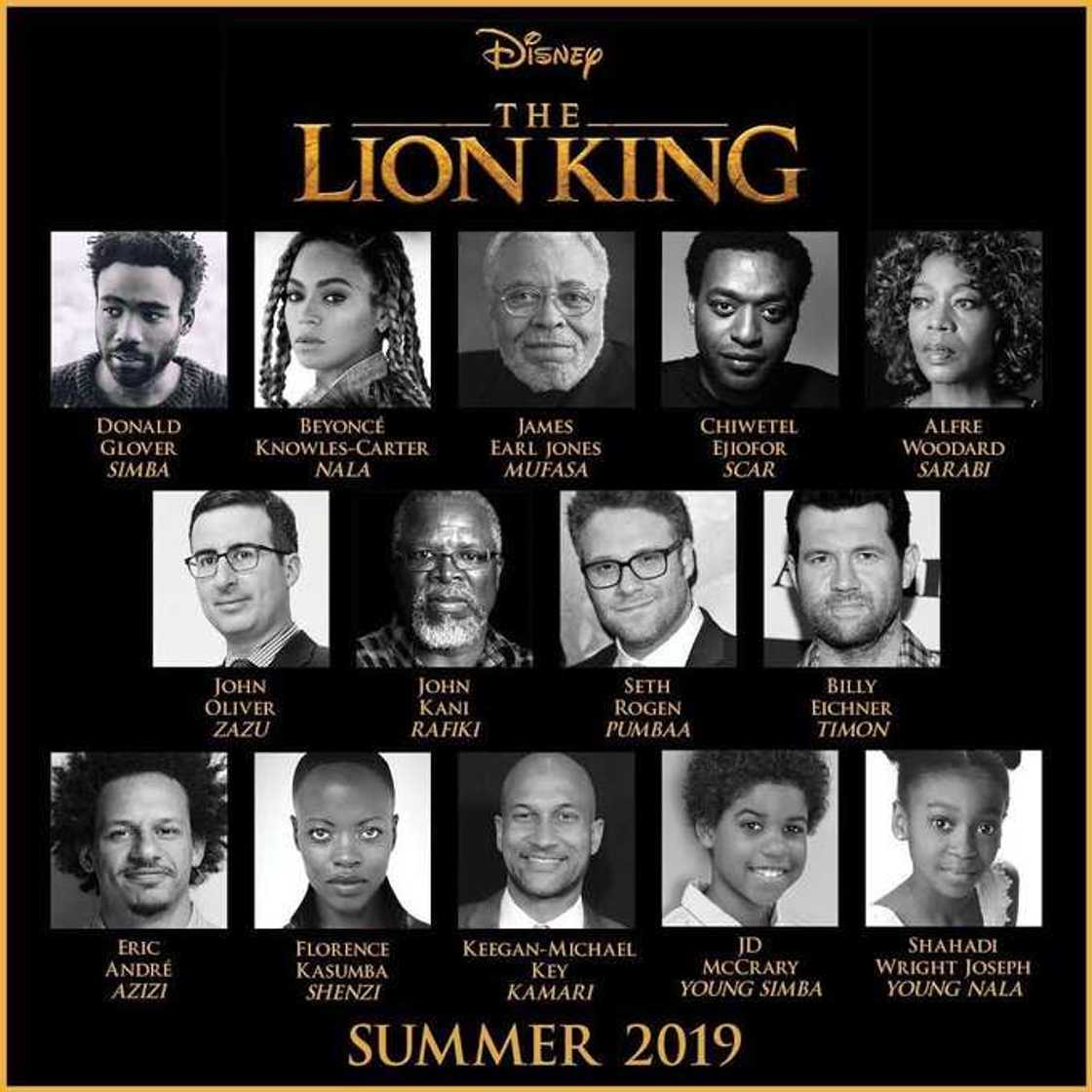 Seth Rogen Lion King