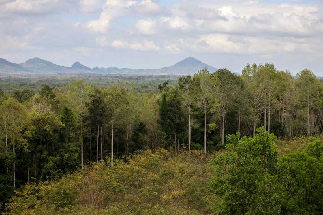 Recent scandals have cast a shadow over the carbon credit industry Recent scandals have cast a shadow over the carbon credit industry