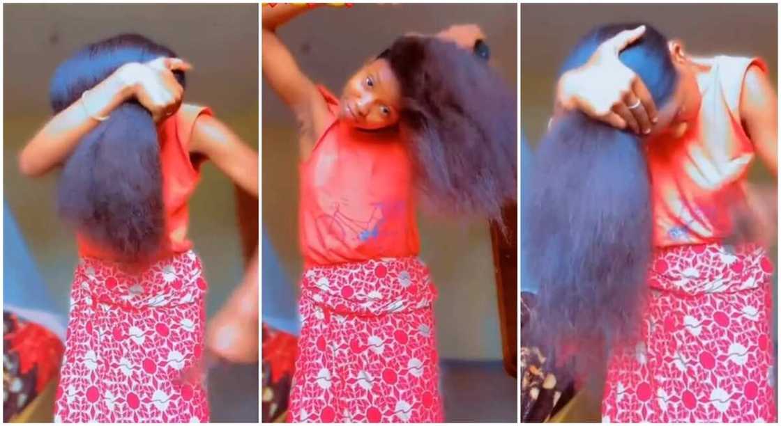 The Nigerian lady blessed with extremely long natural hair combs it out. The Nigerian lady blessed with extremely long natural hair combs it out.