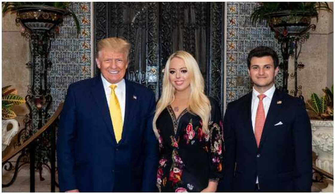 Tiffany, Boulos Tiffany, Boulos
