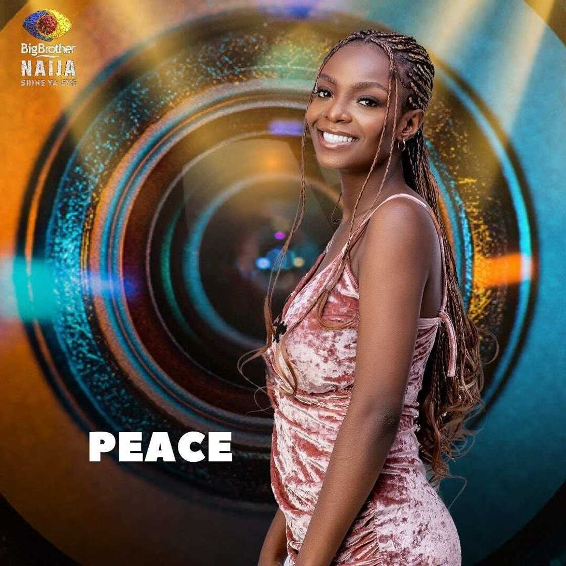 Big Brother Naija housemates Big Brother Naija housemates