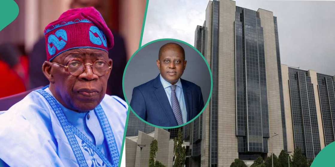 CBN governor Tinubu CBN governor Tinubu