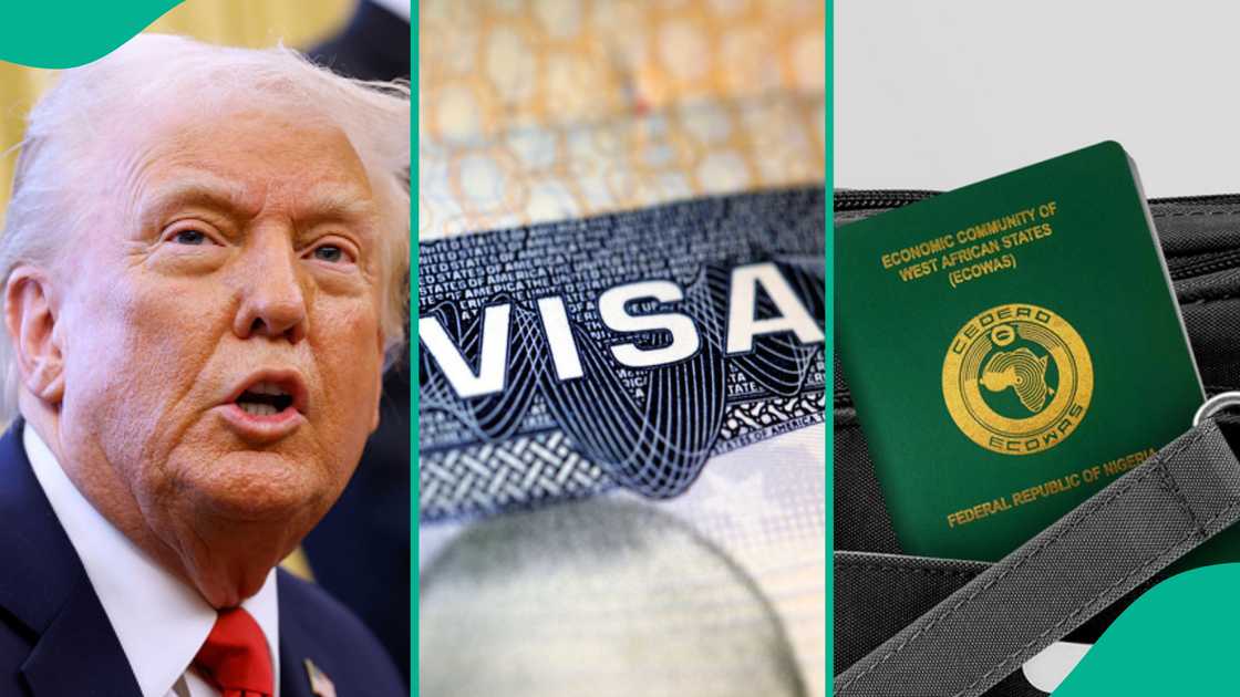 The United States Embassy in Nigeria warns applicants of the gravity of visa fraud as President Donald Trump moves to sanitise the system. The United States Embassy in Nigeria warns applicants of the gravity of visa fraud as President Donald Trump moves to sanitise the system.