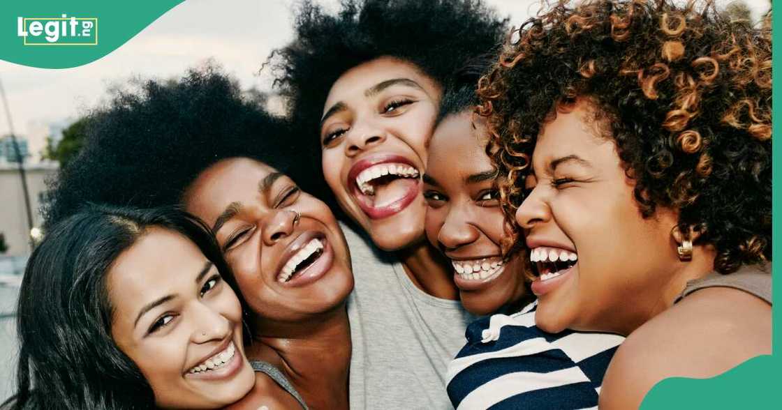 Wikipedia, Wikimedia Wikipedia, Wikimedia