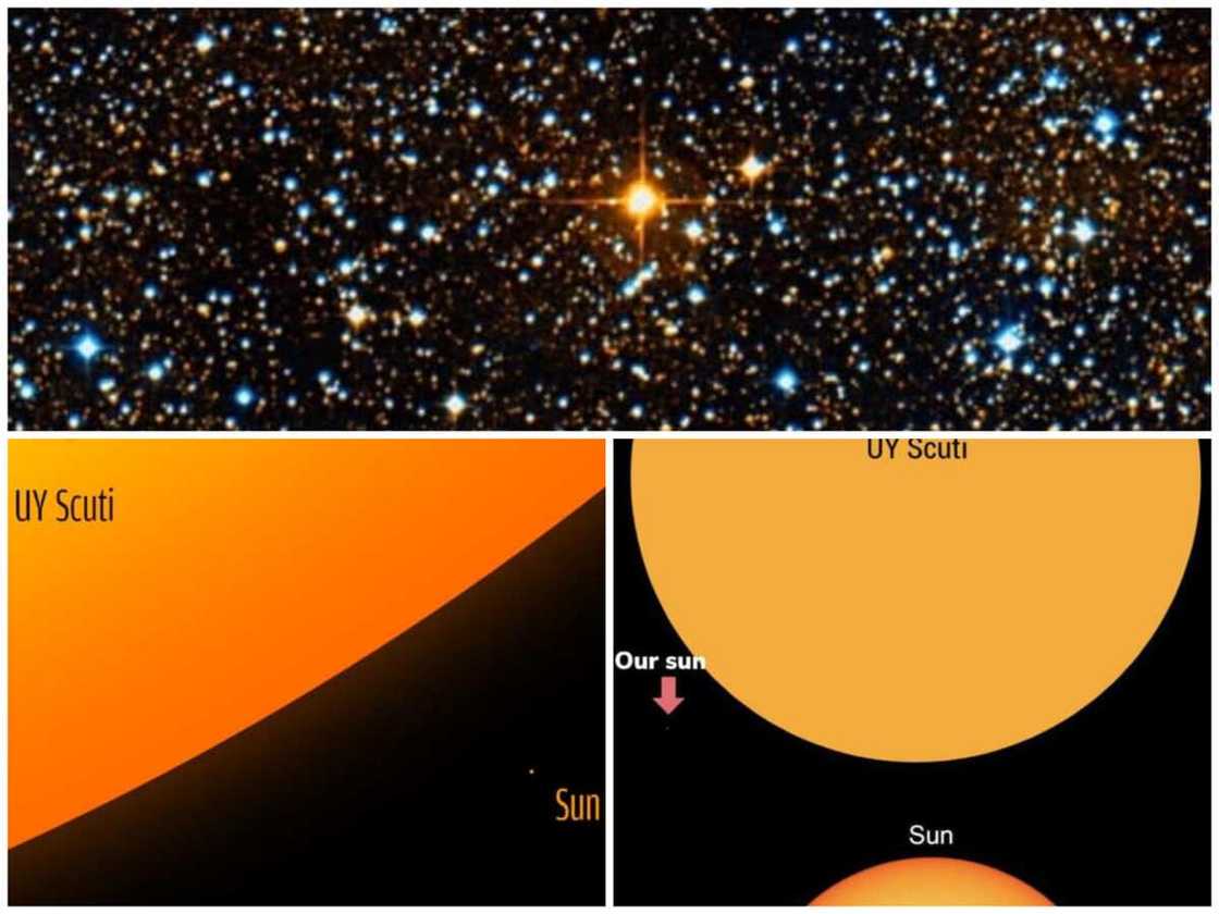 biggest things biggest things