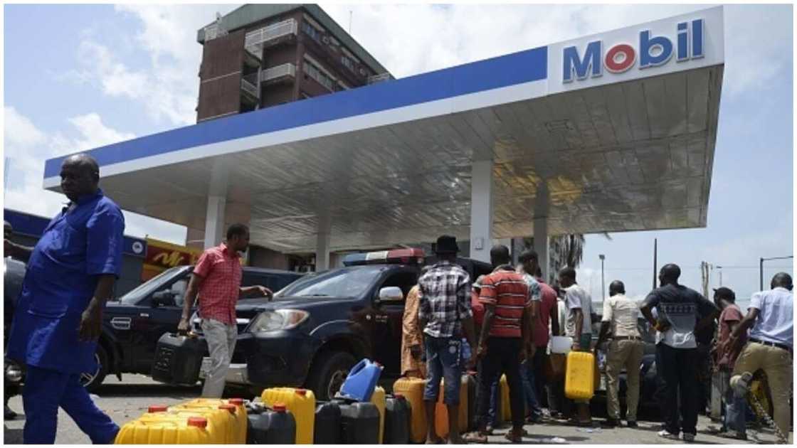 Again, Northern groups reject fuel subsidy removal, plan protests Again, Northern groups reject fuel subsidy removal, plan protests