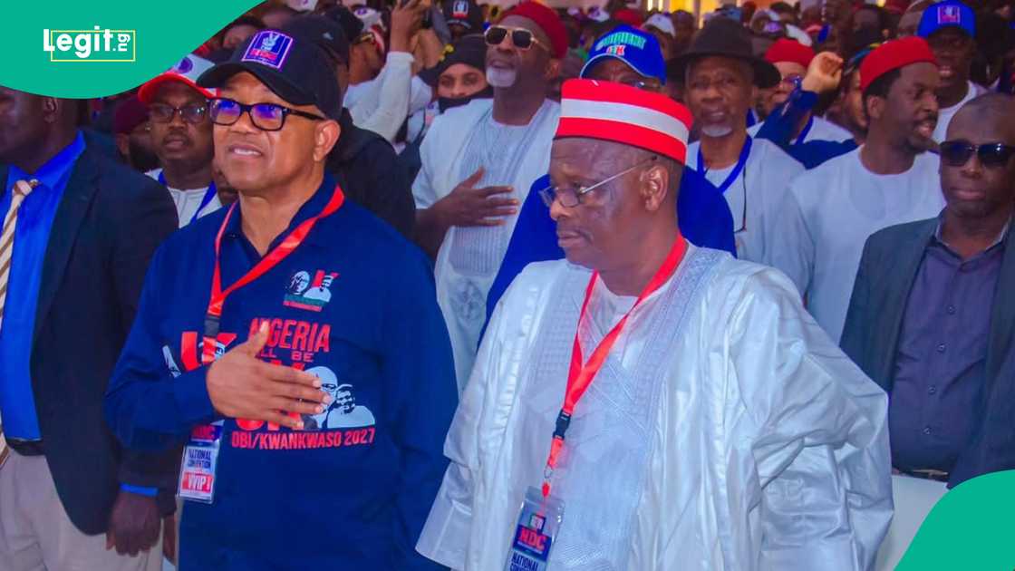 Kwankwaso ya yi magana kan Peter Obi