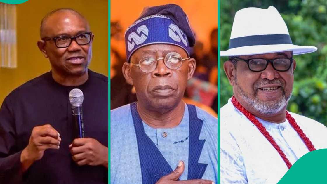 Patrick Doyle's criticism of Peter Obi is over his comments on Tinubu Patrick Doyle's criticism of Peter Obi is over his comments on Tinubu