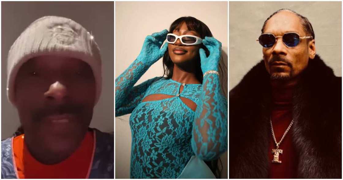 Snoop Dogg begs Tems for music feature. Snoop Dogg begs Tems for music feature.