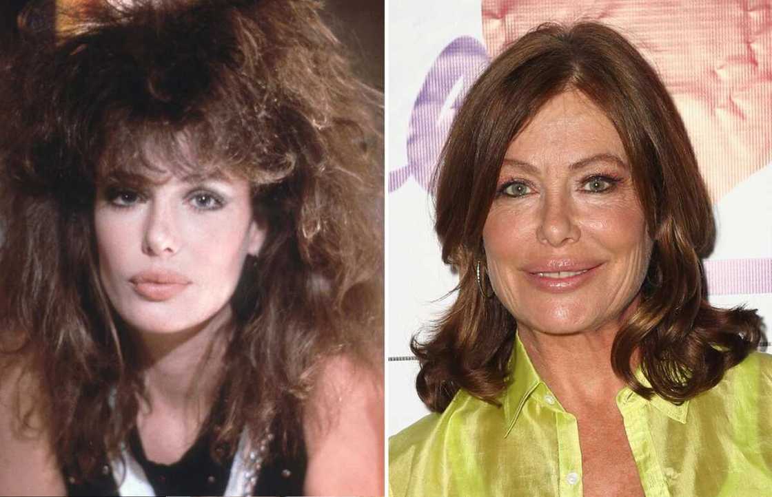 what does Kelly LeBrock look like now