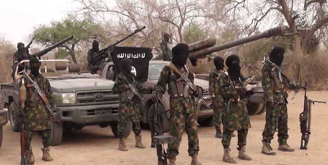 Da Ɗuminsa: Boko Haram sun fara kafa tutocin su a wasu sassan Geidam