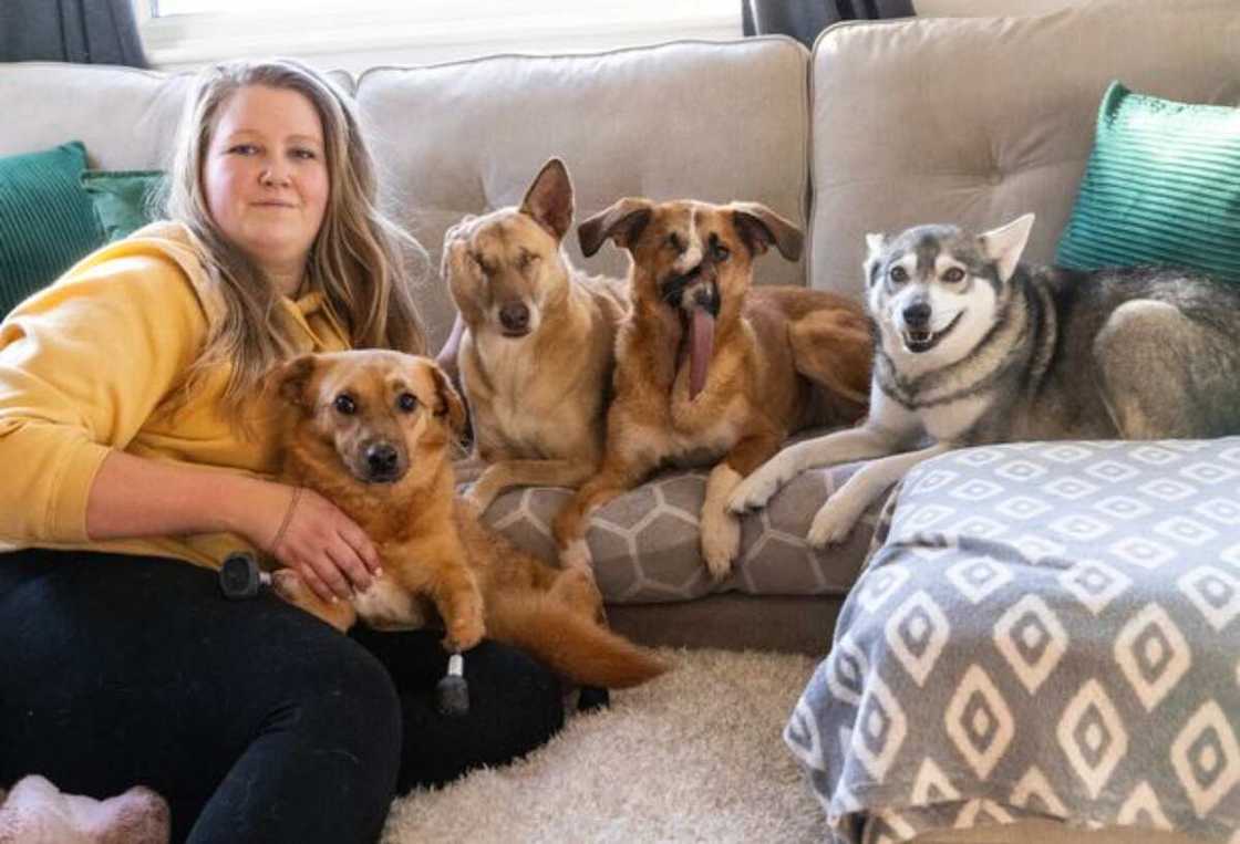 Millie, Kasey Carlin, Dog Millie, Kasey Carlin, Dog