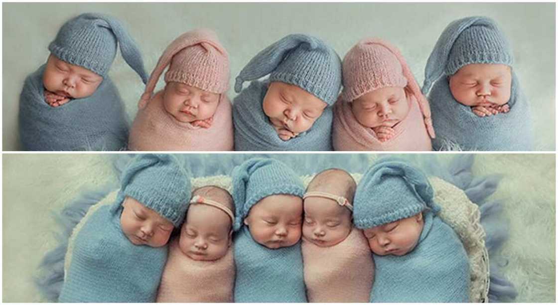 Ukraine mother shares an adorable photo of her five kids. Ukraine mother shares an adorable photo of her five kids.