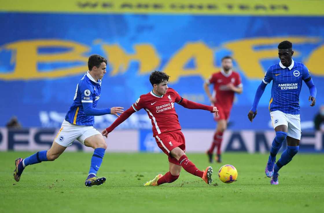 Liverpool stars and Brighton in action