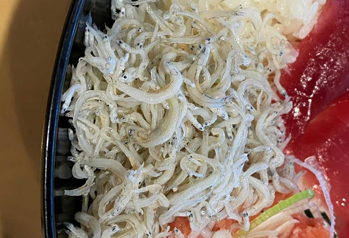 A Japanese dish with baby eels is pictured in Tokyo, a final destination in a convoluted, lucrative illicit trade that often begins with criminal gangs in impoverished Haiti