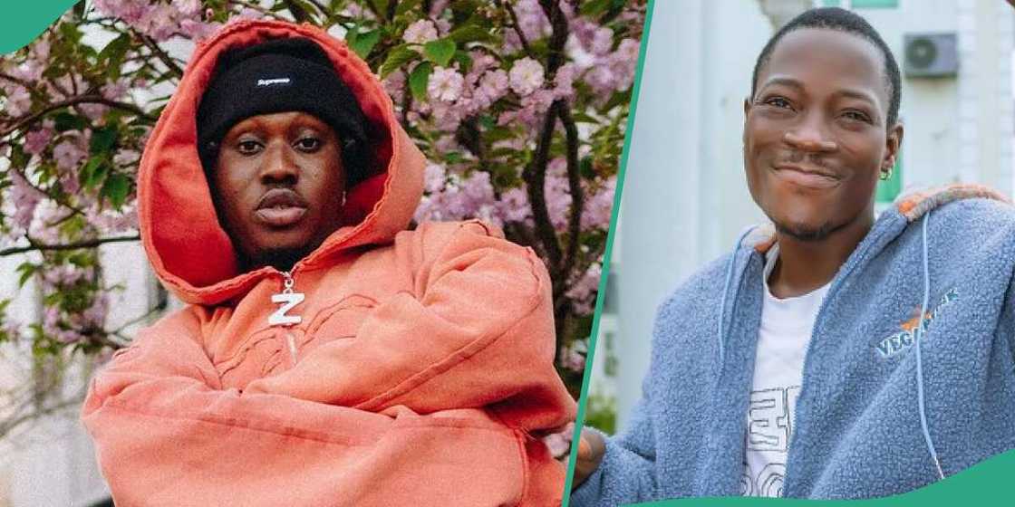 DJ chicken begs Zlatan Ibile in viral video.