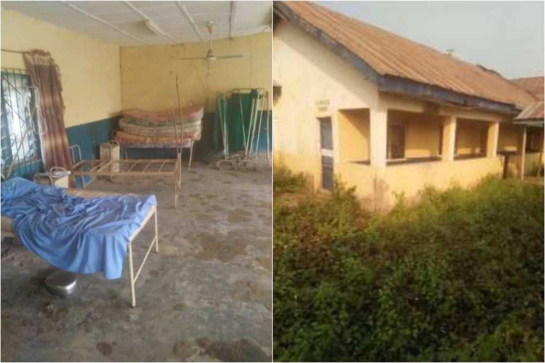 Kogi home of hospital where snakes, mosquitos chase patients by Arogbonlo Israel