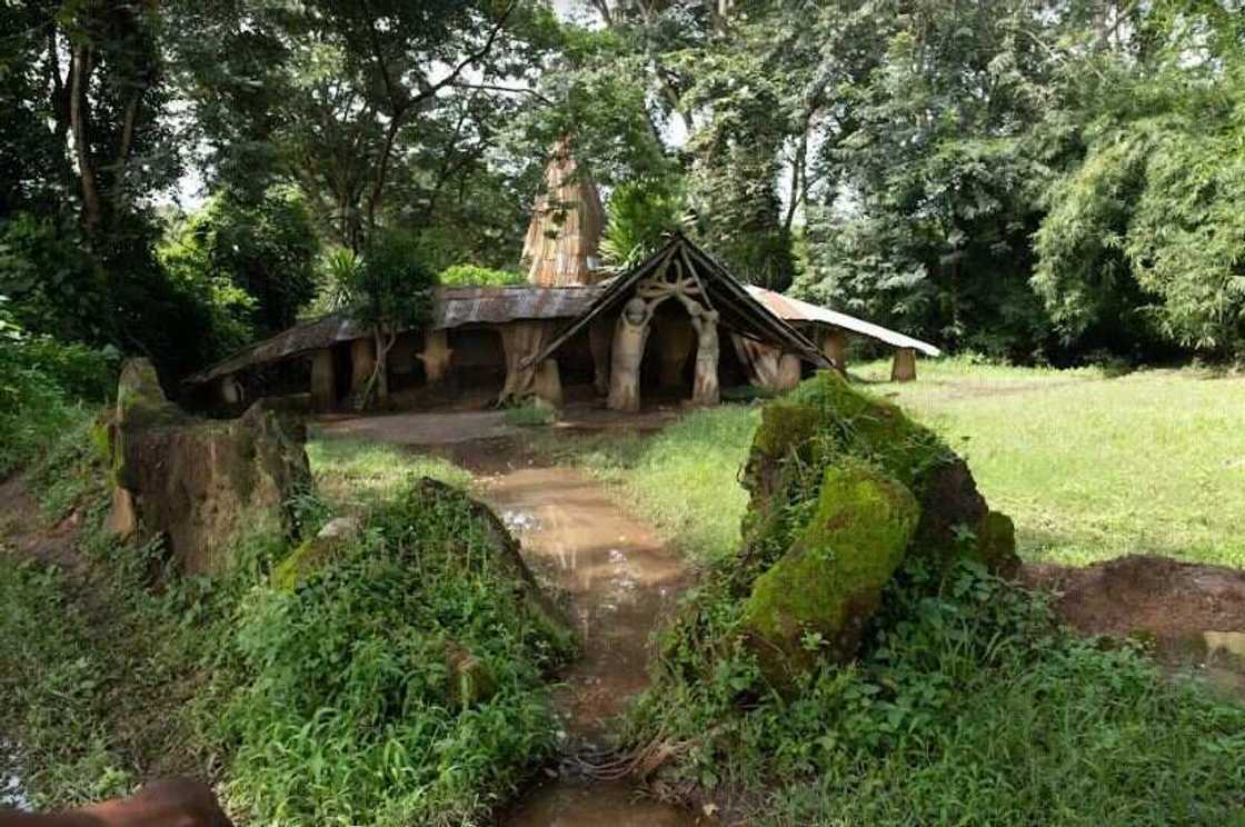 Google Arts & Culture, CyArk and Adunni Olorisha Trust partner to digitally preserve Osun Osogbo Sacred Grove Google Arts & Culture, CyArk and Adunni Olorisha Trust partner to digitally preserve Osun Osogbo Sacred Grove