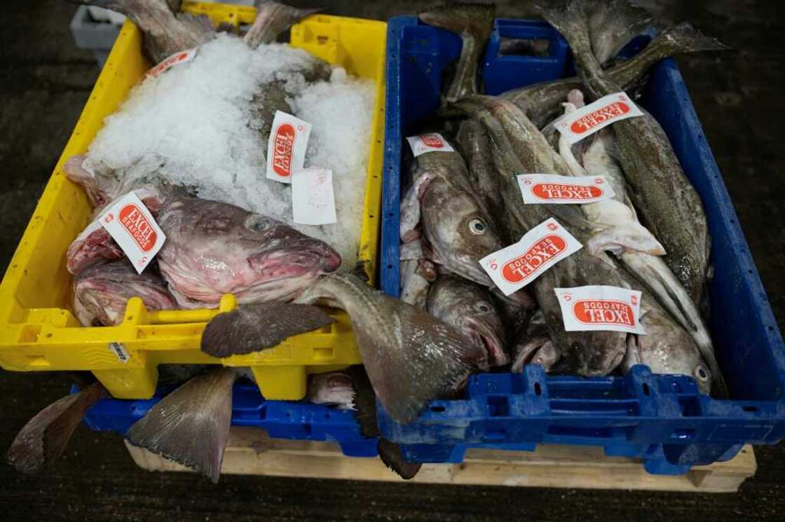 The UK's main fishing port is now in Peterhead, in northeast Scotland, leaving Grimsby with only a handful of specialist boats, a network of traders and processing plants The UK's main fishing port is now in Peterhead, in northeast Scotland, leaving Grimsby with only a handful of specialist boats, a network of traders and processing plants