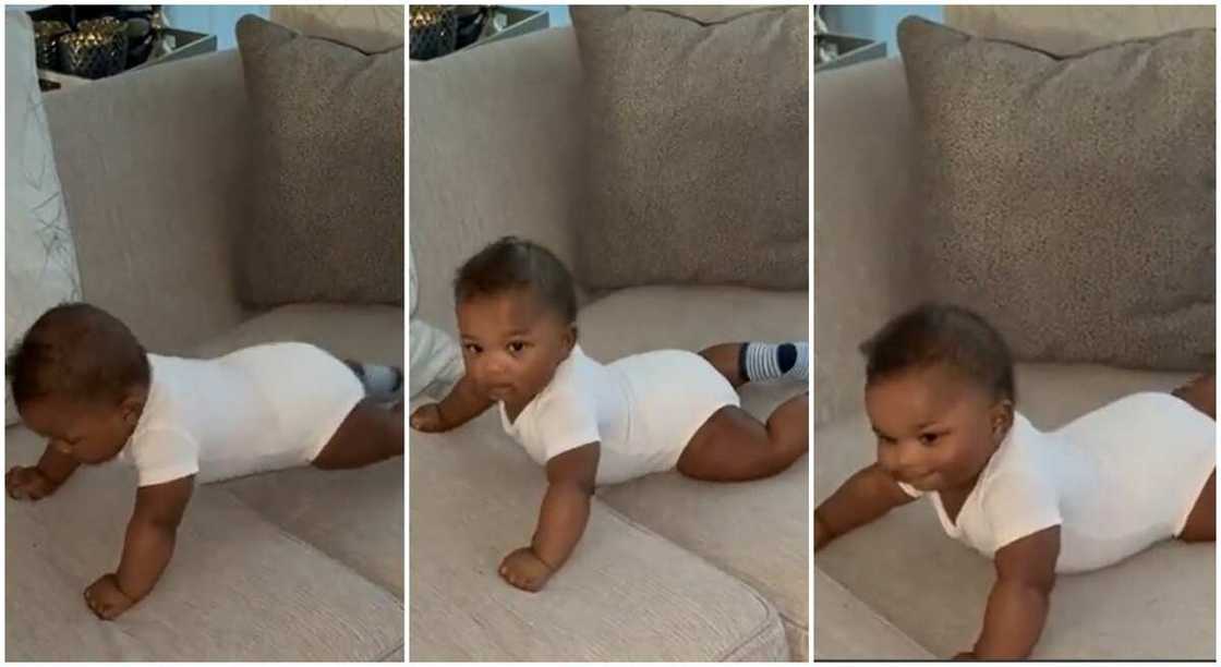 Photos of little baby performing push up exercise. Photos of little baby performing push up exercise.