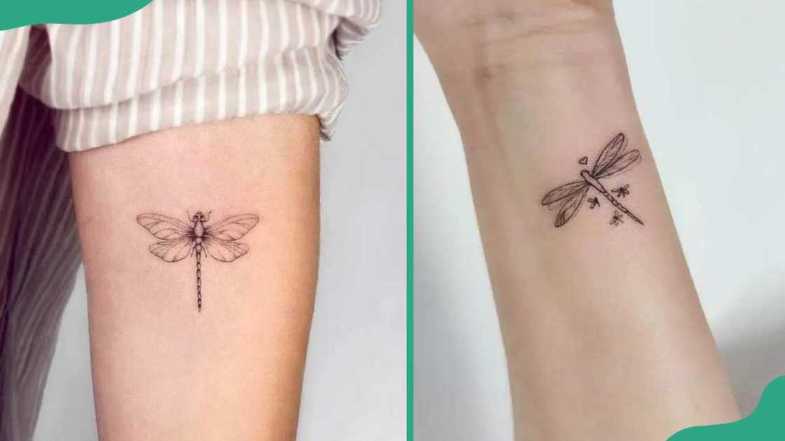 Elegant dragonfly tattoos small Elegant dragonfly tattoos small