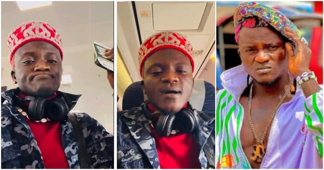 Portable Zazu Portable Zazu