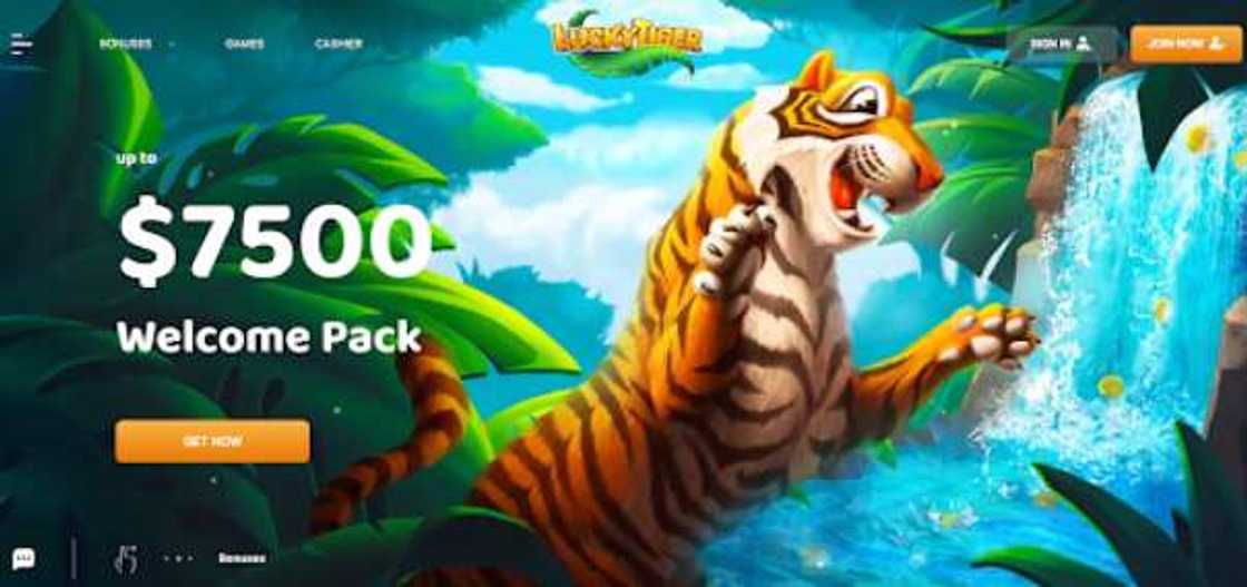 11 Top-Ranked Online Roulette Casinos in Canada: Key Features and Bonuses 11 Top-Ranked Online Roulette Casinos in Canada: Key Features and Bonuses