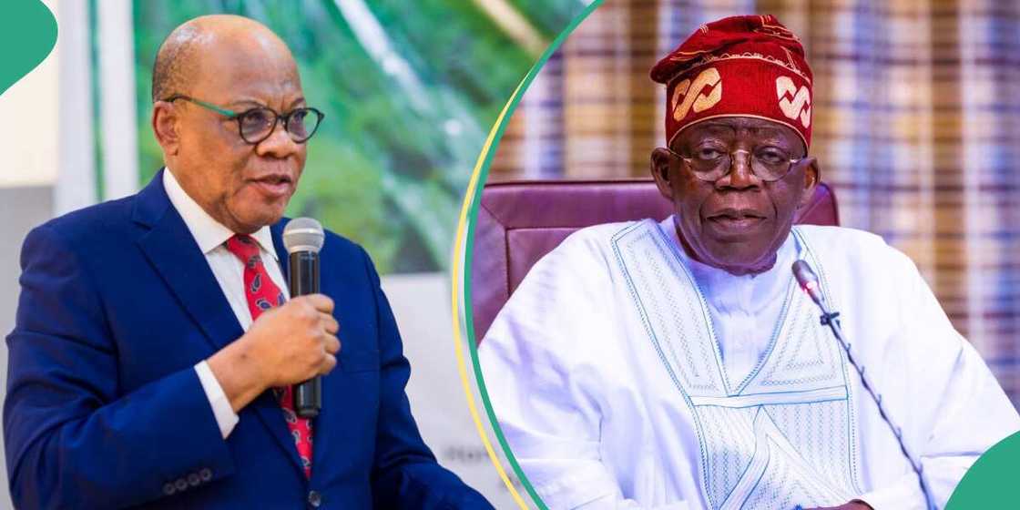 Olisa Agbakoba urges Tinubu to reduce ministers