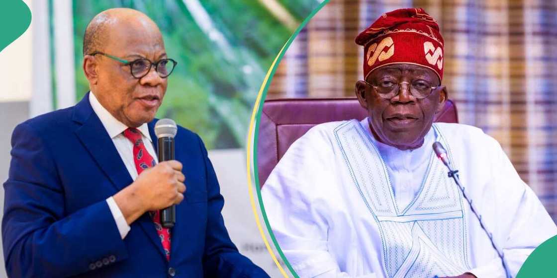 Olisa Agbakoba urges Tinubu to reduce ministers Olisa Agbakoba urges Tinubu to reduce ministers