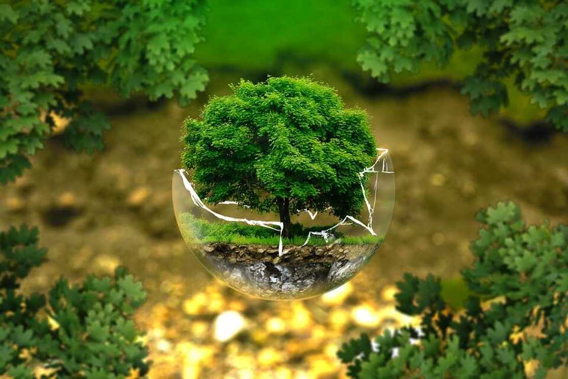 Environmental protection Environmental protection