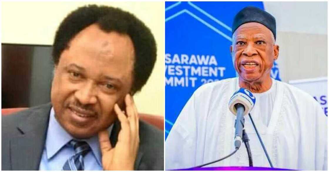 Shehu Sani speaks on Adamu's resignation/ Shehu Sani and/ Abdullahi Adamu's resigns/ APC national chairman Shehu Sani speaks on Adamu's resignation/ Shehu Sani and/ Abdullahi Adamu's resigns/ APC national chairman