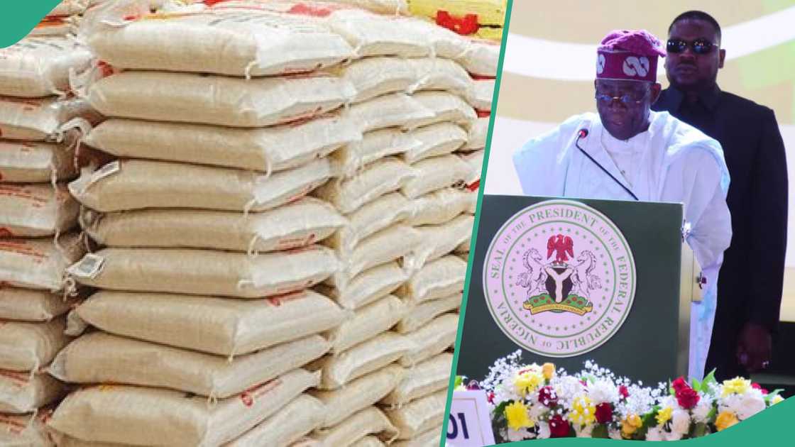 President Bola Tinubu's government has said NIN is a requirement in getting FG ₦40,000 bag of rice. President Bola Tinubu's government has said NIN is a requirement in getting FG ₦40,000 bag of rice.