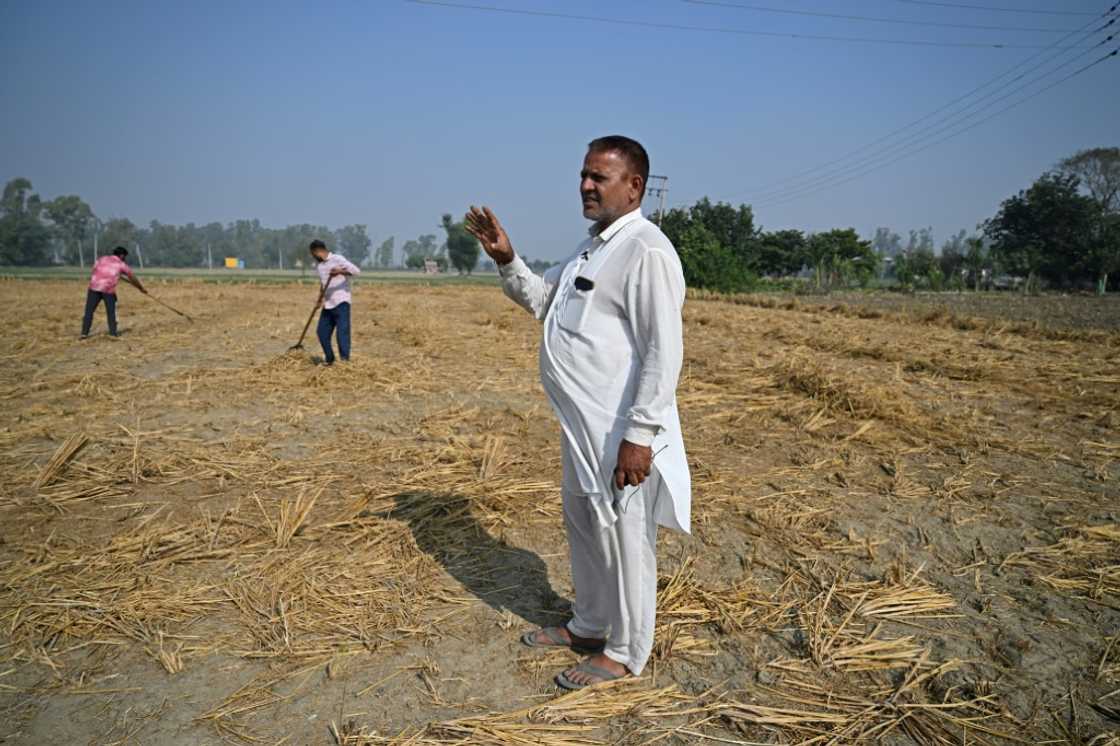 Farmer Balkar Singh told AFP he knows burning stubble is bad for his fields but feels like he has 'no other choice' Farmer Balkar Singh told AFP he knows burning stubble is bad for his fields but feels like he has 'no other choice'