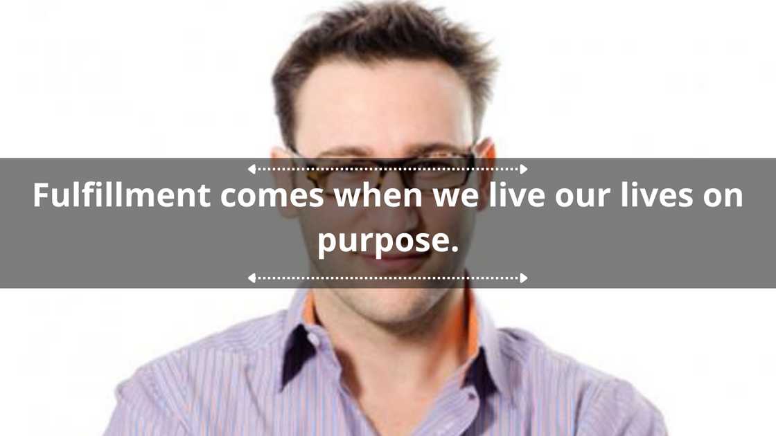 Simon Sinek quotes on purpose