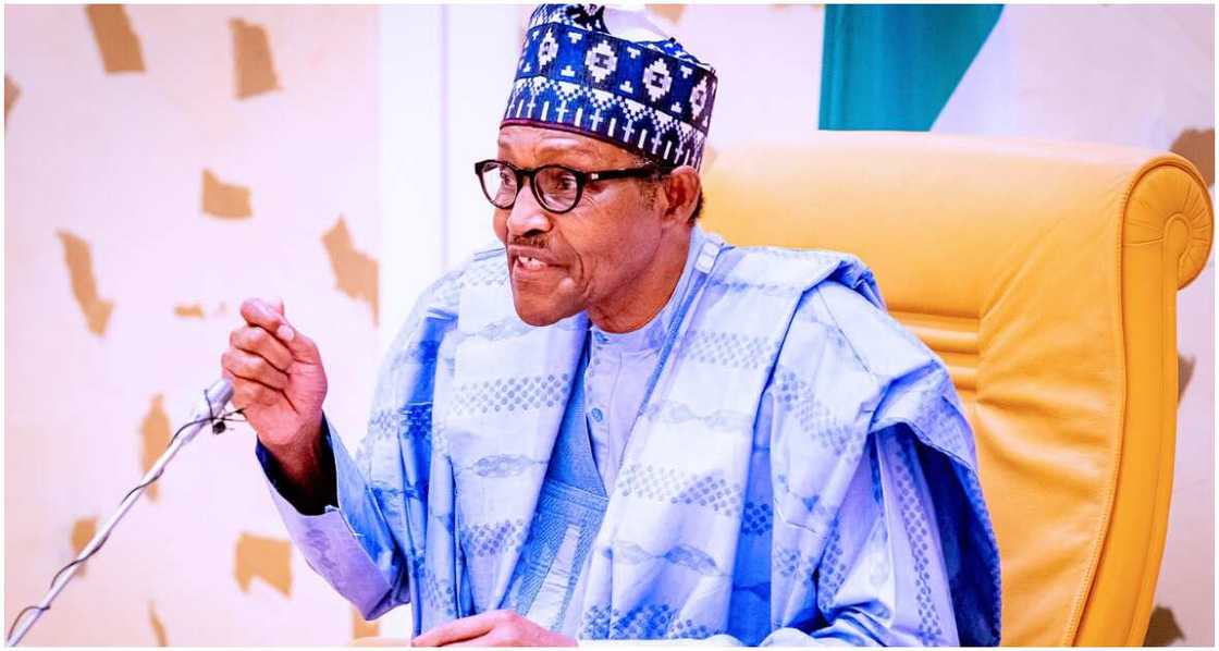 President Muhammadu Buhari, Damaturu, Nigeria's security institutions, terrorist group President Muhammadu Buhari, Damaturu, Nigeria's security institutions, terrorist group