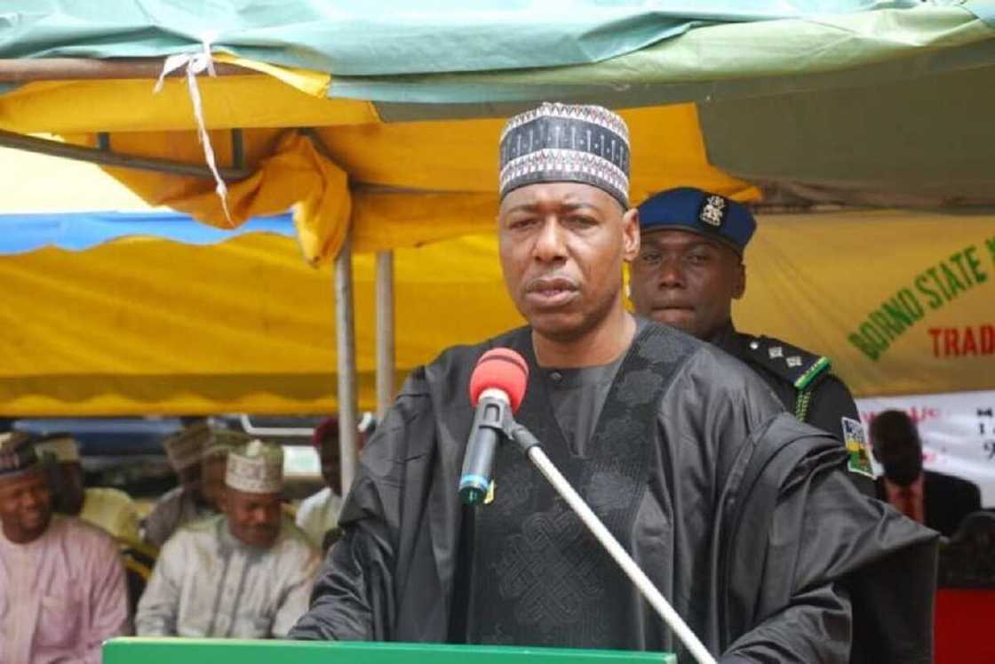 Zulum: Bana goyon bayan kafa 'yan sandan jiha - za su ƙara dilmiya Najeriya cikin matsala