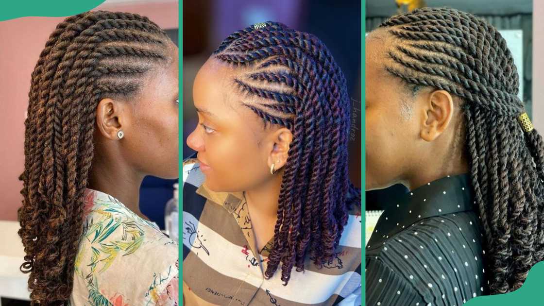 Twist cornrows braids