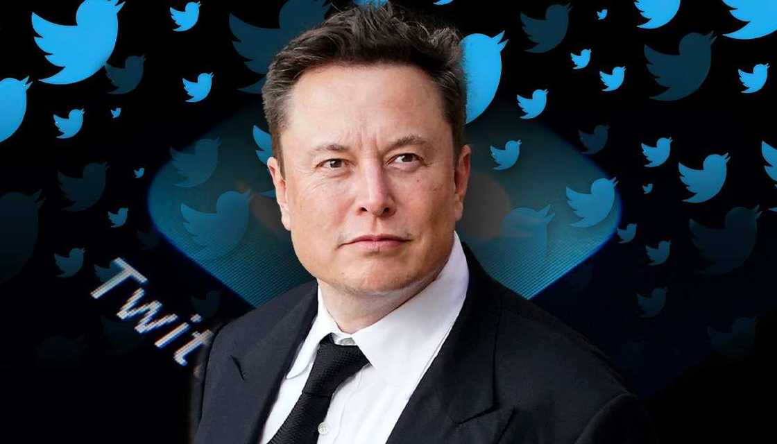 Elon Musk, Twitter CEO Photo credit: Northlines
Source: Google Image