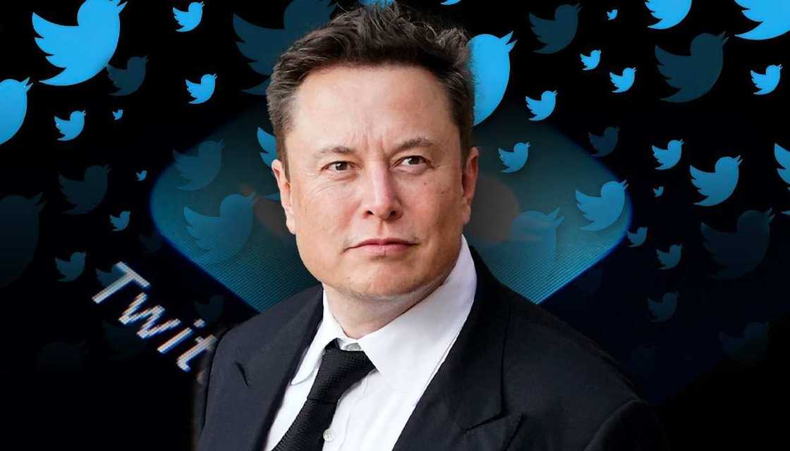 Elon Musk, Twitter CEO Photo credit: Northlines
Source: Google Image Elon Musk, Twitter CEO Photo credit: Northlines
Source: Google Image