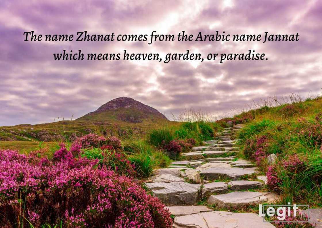 Kazakh names: Zhanat Kazakh names: Zhanat