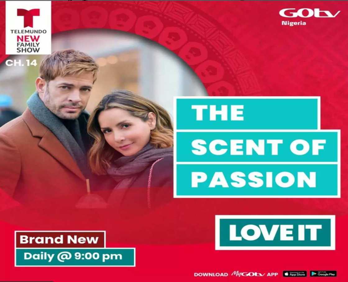 It’s a Telenovela Feast this Long Weekend on DStv and GOtv It’s a Telenovela Feast this Long Weekend on DStv and GOtv