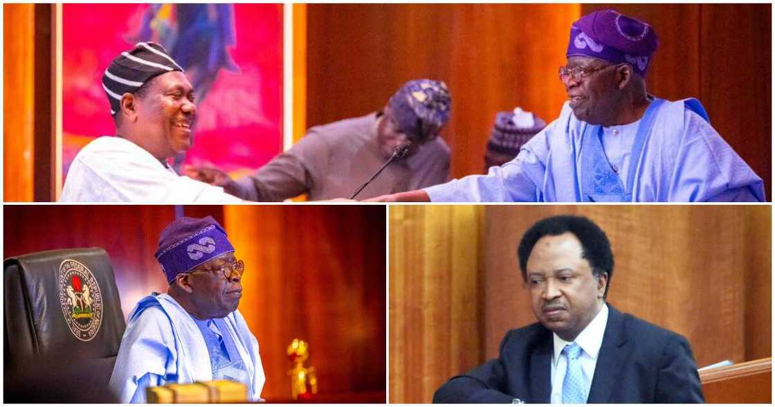 Shugaban kasa Bola Tinubu, Geaorge Akume da Shehu Sani